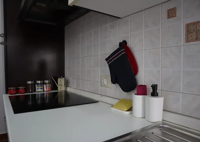 Family Jester * 나폴리